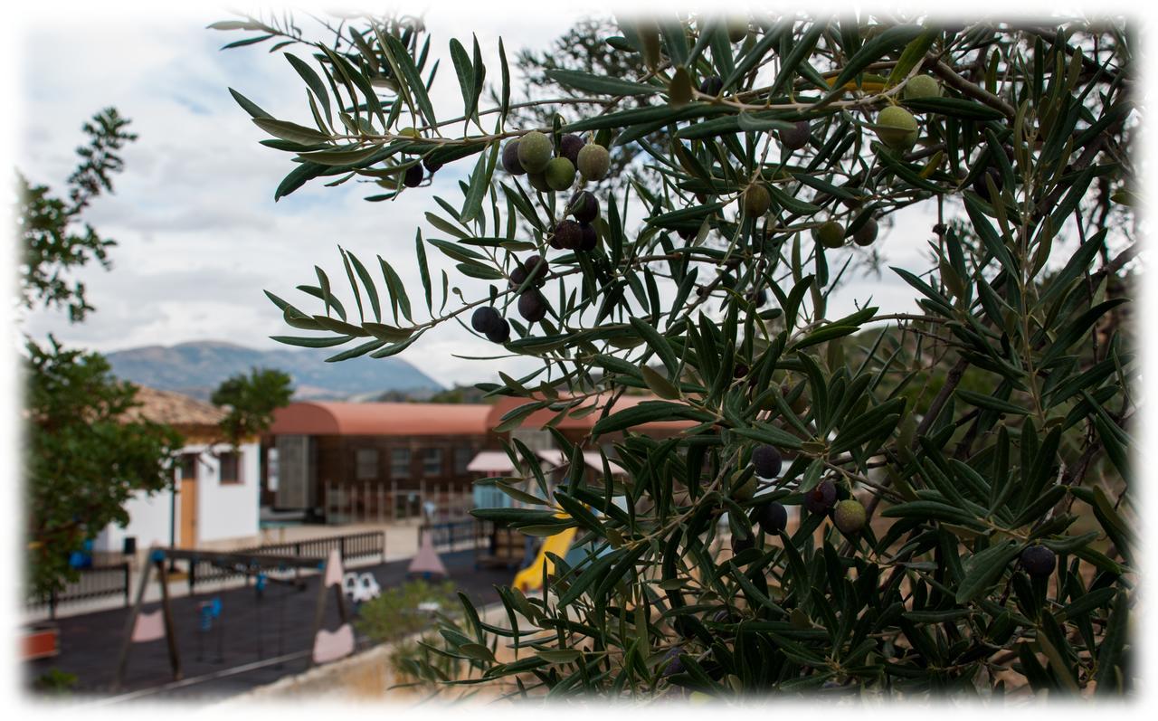 Hostal- Restaurante Estacion Via Verde Olvera Exterior photo